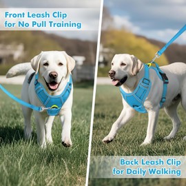 Joytale Step-in No Pull Dog Harness for Puppy Small Dogs with 2 Leash Clips, Reflective Pet Vest with Easy Control Handle, Adjustable Soft Padded Harness for Walking and Trainings, Aqua Blue,XS