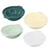 Ice Bowl Containers Mold Light Green Dark Green White Yellow