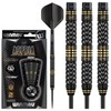 WINMAU Aspria Tungsten Steeltip Dart Set 24 gram with Prism