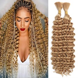 Deep Wave Bulk hair for Braiding Wet and Wavy Micro Braiding No Weft Faux Deep Wave Braiding Hair Extensions for Box Boho Braids 160g with 2 Bundles #27 (24Inch)