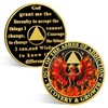 ACGZQY 4 Year Phoenix Sobriety Chip - Rebirth Phoenix AA