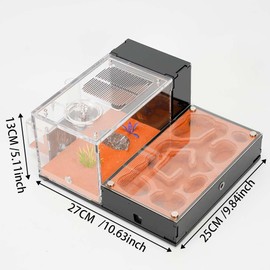 Rimsunta Ant Farm for Live Ants - for Small Ant Clony - Natural Learning Toy - Great Gift