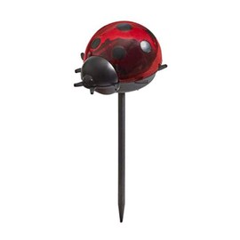 Online Garden Centre Ladybird Stake Triple Pack