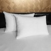 Set of 2 Luxton Waterproof Pillow Protector, Terry Cotton Toweling
