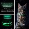 Pawtitas Glow in The Dark Cat Collar with Safety Buckle