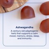 Trace Minerals Ashwagandha Gummies, 300mg - Health Supplement to Support