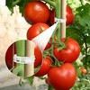 Pack of 100 Plant Clips, Plant Clips, Tomato Clips, Tomato