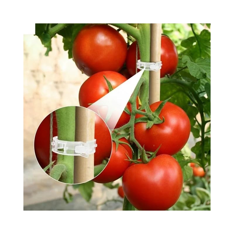 Pack of 100 Plant Clips, Plant Clips, Tomato Clips, Tomato