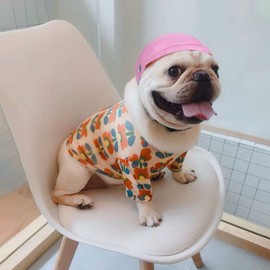 GUGELIVES Pet Dog Helmet Doggie Hardhat for Puppy Chihuahua Blind Ridding Motorcycles Bike Outdoor Activities Protect Head Sunproof Rainproof Pet Supplies for Small Medium Big Dogs Helmet(S, Pink)