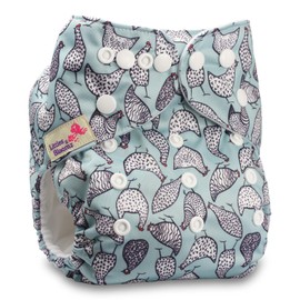 Littles & Bloomz, Reusable Pocket Cloth Nappy, Fastener: Popper, Set of 1, Pattern 22, Without Insert