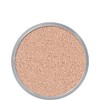 Kryolan Transparent Powder (60g)