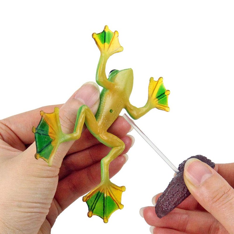 カロラータ 立体図鑑 リアルフィギュアボックス (フロッグ / 16種) カエル 虫 昆虫 (解説書付き)