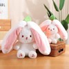 Rabbit Hide Plush Bunny Cuddly Toy Rabbit Small Filled Rabbit