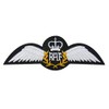 RAF Pilot Wings Iron or Sew On Embroidered Patch Badge