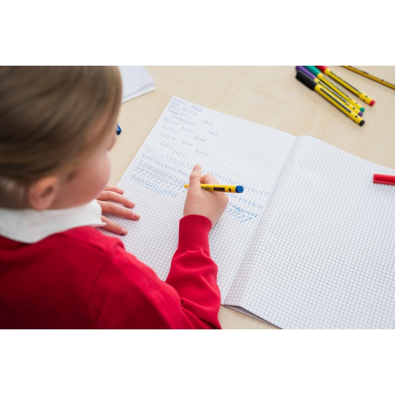 STAEDTLER 307 Noris Writing Pen - Handwriting Pens - 0.6mm