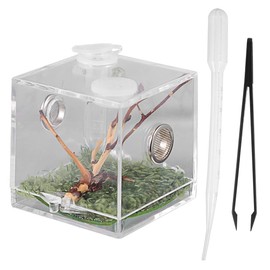 Garneck Jumping Spider Terrarium Set - Transparent Acrylic Terrarium for Jumping Spiders - Insects and Reptiles Including Feeding Tongs and Pipette Ideal for Breeding and Keeping