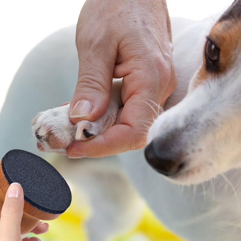 Arvintas Dog Nail File with 4Pcs Replaceable Sandpaper, Dog Scratch