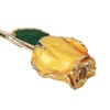 Golded Rose Flower Yellow 24K with Base Gift Decoration for