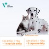 Vet Expert VetoMune Immune Support Supplement for Cats & Dogs