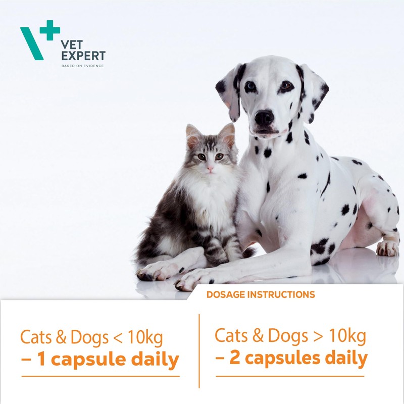 Vet Expert VetoMune Immune Support Supplement for Cats & Dogs