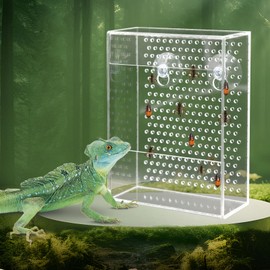 Bearded Dragon Feeder, Chameleon Bug Bowl, Transparentk Acrylic Reptile Feeder Box, Wall-Mounted Insect Food Dish with Suction Cups, Tank and Aquarium Accessories for Lizard Bearded Dragon Gecko Frog