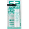 Maybelline Baby Lips Winter Delight Lip Balm - 1 Too