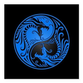 CafePress Blue Yin Yang Dragons with Black Back Square Car M Square Car Magnet, Magnetic Bumper Display