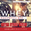 nichie ホエイプロテイン WPH たんぱく質約92%(無水換算）砂糖不使用 プレーン 100g