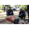 Grimm - Die komplette Serie [28 DVDs]