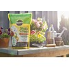 Miracle-Gro 3002010 Shake 'N Feed All Purpose Continuous Release Plant,