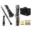 Sky Band Approved SKY-CLEBI-001 Black Ebonite B-flat Clarinet with Case,