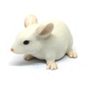 ZOOCRAFT Ceramic Mouse Rat Figurine White Animal Hand Painted Porcelain