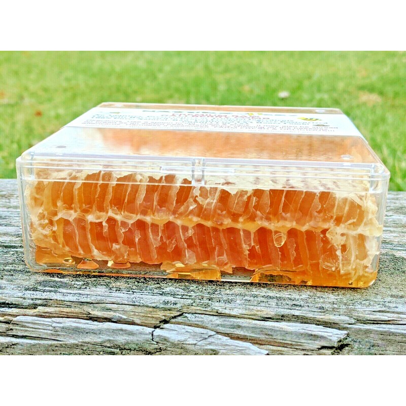 NATURZ BEEZ PREMIUM HONEYCOMB CLOVER COMB 14oz 400g 100% PURE