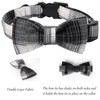 Lionet Paws Gird Dog Collar with Plastic Buckle, Cotton Fall