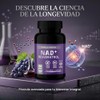 Suplemento Alimenticio NAD+ con Resveratrol | 60 Cápsulas de 500