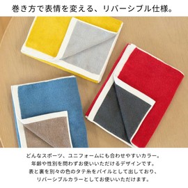 Iori Hoshi Sports Towel, Set of 2, Reversible (Blue) Imabari Towel, Swim Towel, Sports, Gym, Water Absorbent, Quick Drying, Plain, 100% Cotton