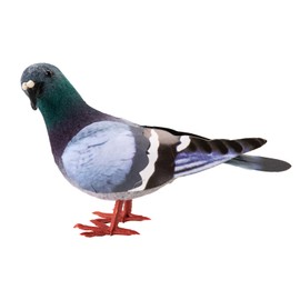 2 Pcs Simulation Pigeon, Removable Mini Imitation Animal,Artificial Simulation Foam Bird, Cute Fake Pigeon Model, Home Ornament for Hallway,Garden, Bedroom Decoration,Living Room,Gift for Bird Lovers