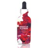 Wild Hibiscus Flower Company Hibiscus Flower All Natural Cocktail Concentrate,