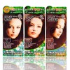 Avant-garde Dandelion Hair BB Coating Color Cream 80g - Black / 아방가드로 민들레 헤어비비 코팅칼라크림 80g - 흑색
