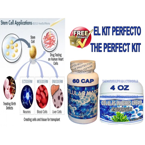 Cellulas Madre CELULAS MADRES CELL100%NATURA