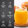 Syruvia Sugar-Free Mango Syrup, Flavored Syrup for Drinks, Cocktails, Lemonades,
