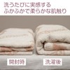 ORGANIC GARDEN 100% Organic Cotton Imabari Towel, 1 Piece Face