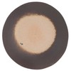 Marui Pottery MR-3-4190 Shigaraki Ware Hechimon Plate, Diameter Approximately 6.3