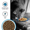 BIXBI Liberty Dry Food Salmon Recipe for Cats, 3lb