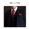 GLOWZEN Men's Pocket Square, For Weddings, Handkerchiefs, 8 Pieces, Silk,