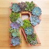 QUINTRA Decorative Wall Wooden Letters with Artificial Succulents Bryophytes Vertical