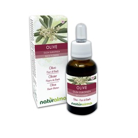 Olive or Oil Tree (Olea europaea) Bach Flowers Naturalma No. 23 Drops 30 ml Alcohol-Free Liquid Extract Flower Essences Vegan and Alcohol-Free