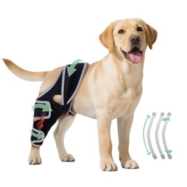 HAPPYHAO Dog Knee Brace for Torn ACL Hind Leg, Adjustable Four-Legged Universal Dog Knee Brace for Arthritis, Patellar Luxation, Hip Dysplasia, Relieve Joint Pain and Ligament Damage,XL
