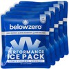 Below Zero Prefilled Reusable Ice Packs for Coolers | Long