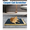 cat Scratcher